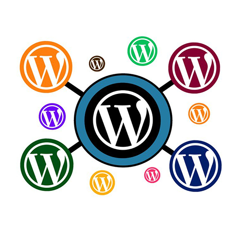 Wordpress multisite setup